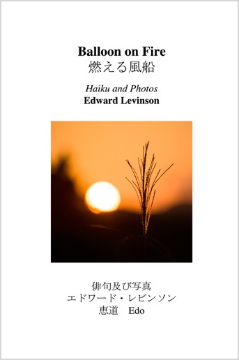 Haiku-book-cover12-front-only-WEB