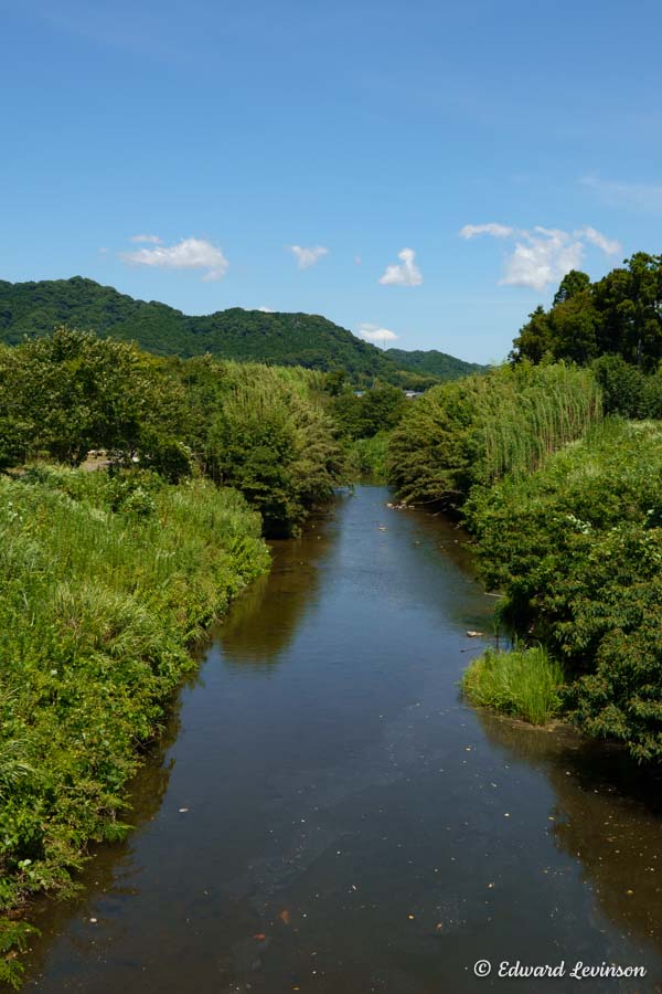 Edward_Levinson kamogawa summer-04771