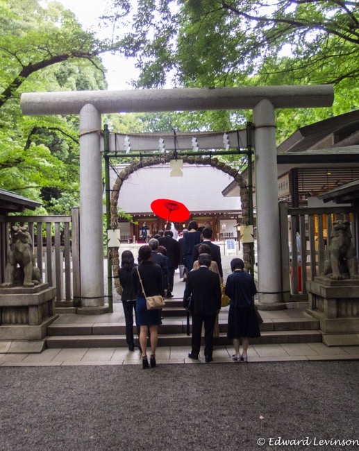 Edward_Levinson nogi shrine wedding-5314144