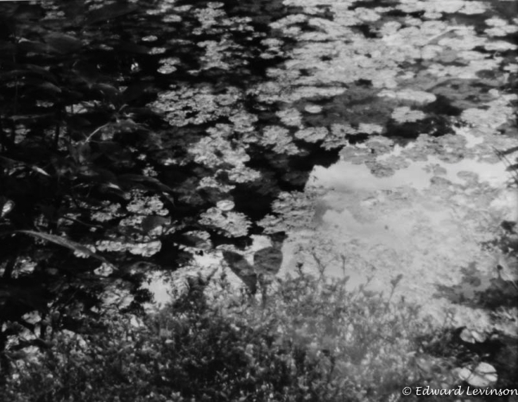 Edward_Levinson nara pond abstract-8080