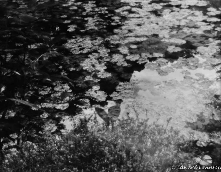 Edward_Levinson nara pond abstract-8080