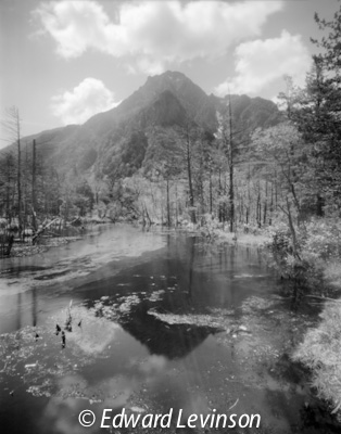 Edward_Levinson_kamikochi_marsh1